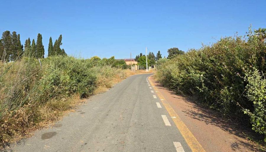 Erba alta non sfalciata, strade pericolose