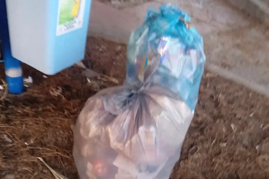 I rifiuti raccolti (foto concessa)