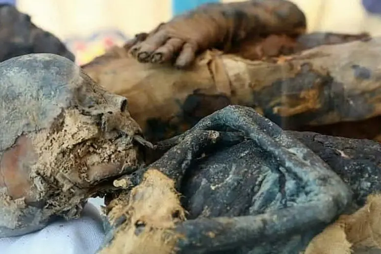 Le mummie (foto ministero egiziano delle Antichità)