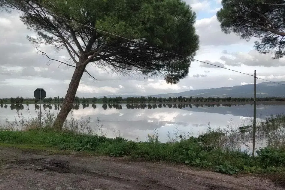 Un campo di ortive allagato (foto Coldiretti)