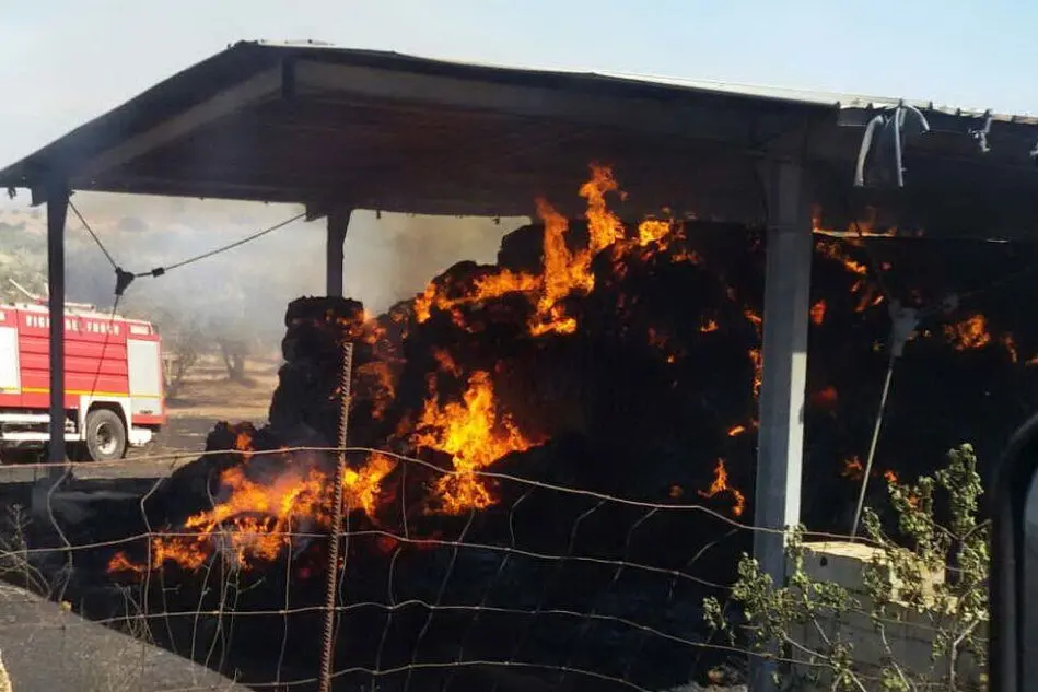 L'azienda agricola investita dal rogo: il fienile in fiamme (foto Deidda)