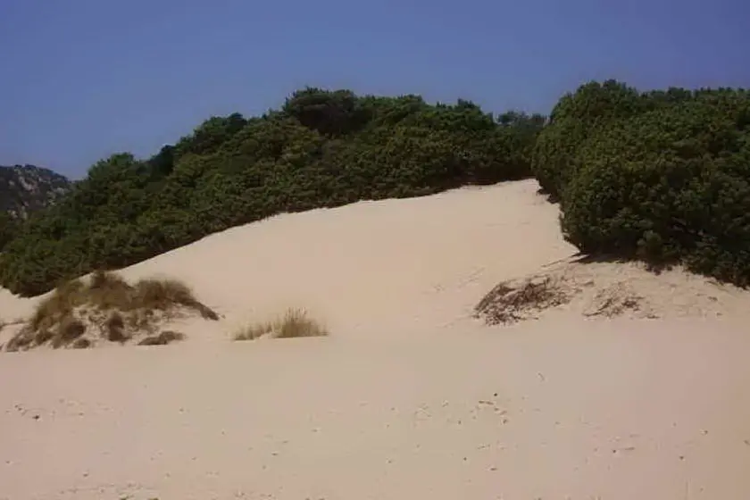 Le dune di Chia (archivio L'Unione Sarda)