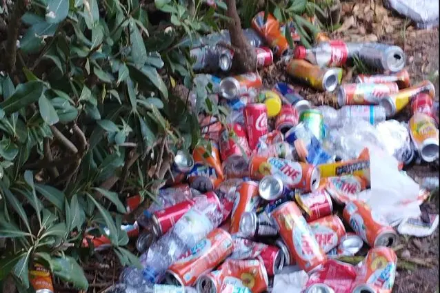Discariche di lattine al parco (foto Pala)