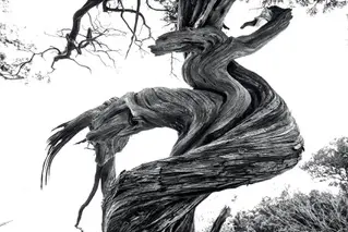 Un libro fotografico che racconta la Terra sarda e la sua anima più autentica. È "Oru Nostru, La mia Sardegna", racconto per immagini di Gianni Rizzotti. Fra le pagine la bellezza, la passione, la natura e l'autenticità di un'Isola, che è prima di tutto territorio, persone, tradizione e cultura. Un viaggio fotografico che si è alimentato giorno dopo giorno con il passaparola degli artisti e artigiani, che Rizzotti ha fotografato e che suggerivano di volta in volta nuovi volti e nuovi luoghi, tutti incredibilmente ricchi e autentici nella loro unicità.  Il libro si compone di 199 immagini. (Unioneonline/v.l.)