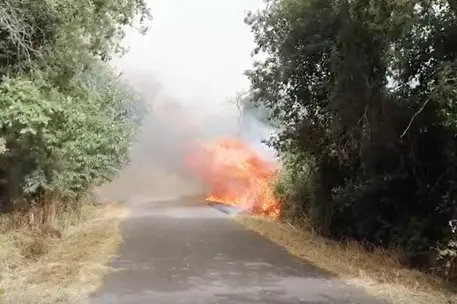 Un incendio (Ansa)