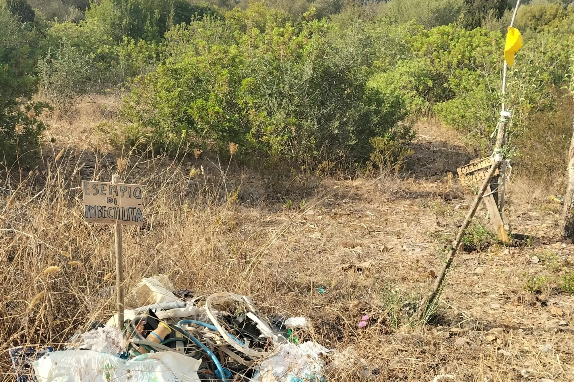 I cartelli affissi dagli ambientalisti. (Foto Scano)