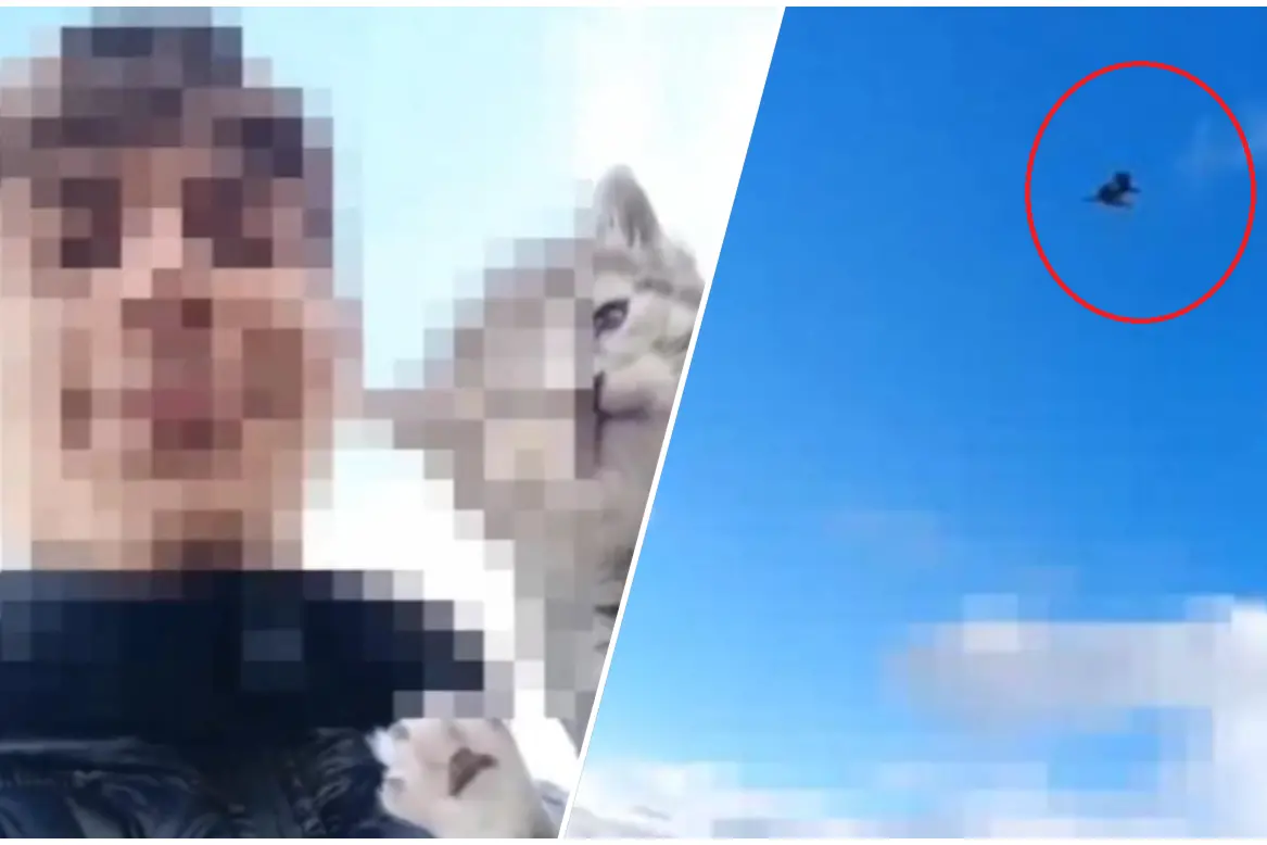 A sinistra il giovane con il gatto, nel tondo il dettaglio del gesto (L'Unione Sarda)
