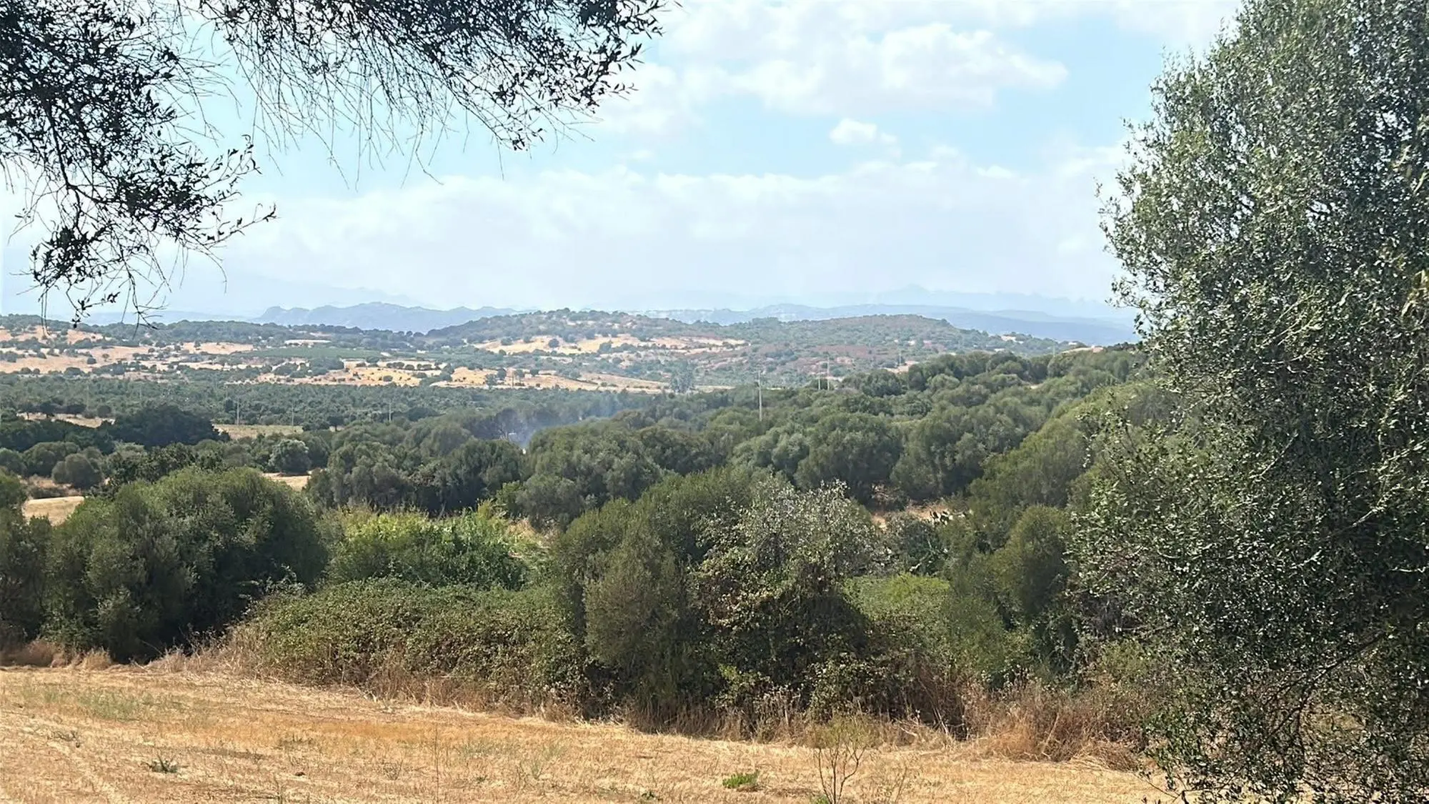 Il fuoco a Loiri Porto San Paolo