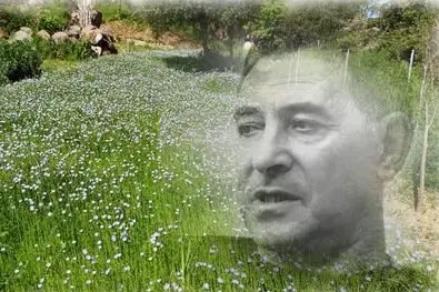 Raffaele Manca