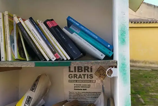 La cassetta dei libri vandalizzata (foto Pintori)