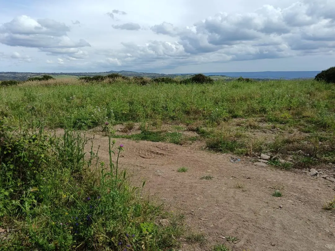 Samugheo, il terreno per l'eliporto