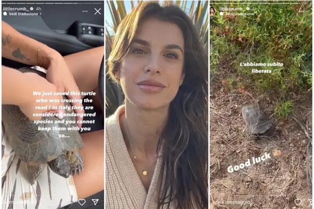 История Элизабетты Каналис на IG