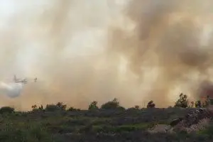L'incedio scoppiato a Orosei (Foto Locci)