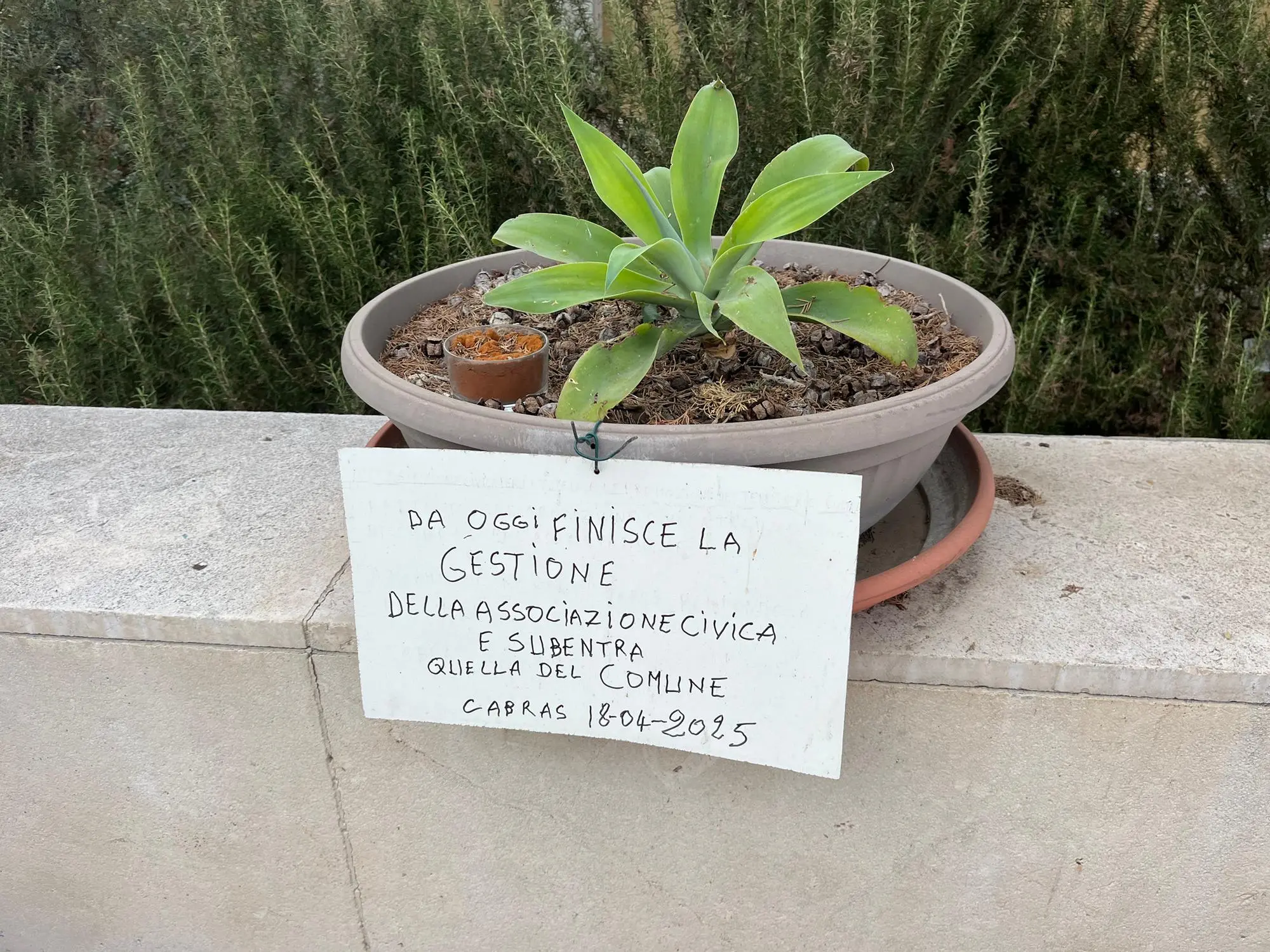 Il cartello affisso dall'associazione all'ingresso del cimitero di Cabras (foto Sara Pinna)