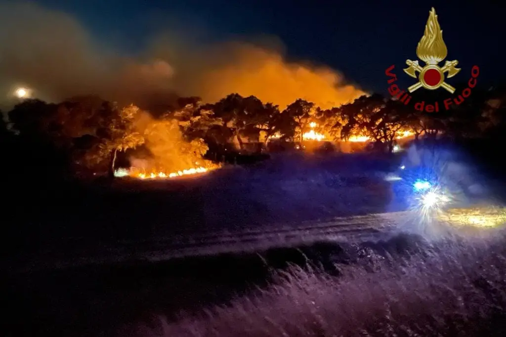 L'incendio scoppiato nella notte a Bottidda (foto Vigili del fuoco)