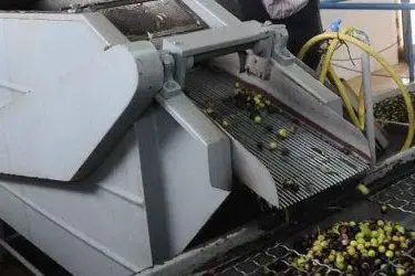 Un macchinario usato per macinare le olive - foto d'archivio