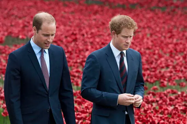 I principi William e Harry (foto Ansa/Epa)
