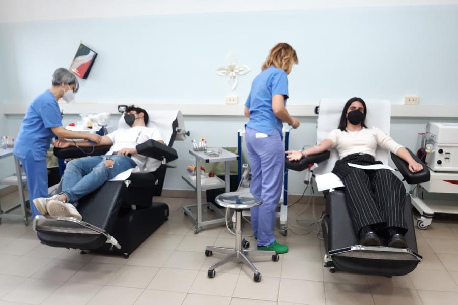 Febbre del Nilo a Oristano: «Nessun blocco delle donazioni di sangue»