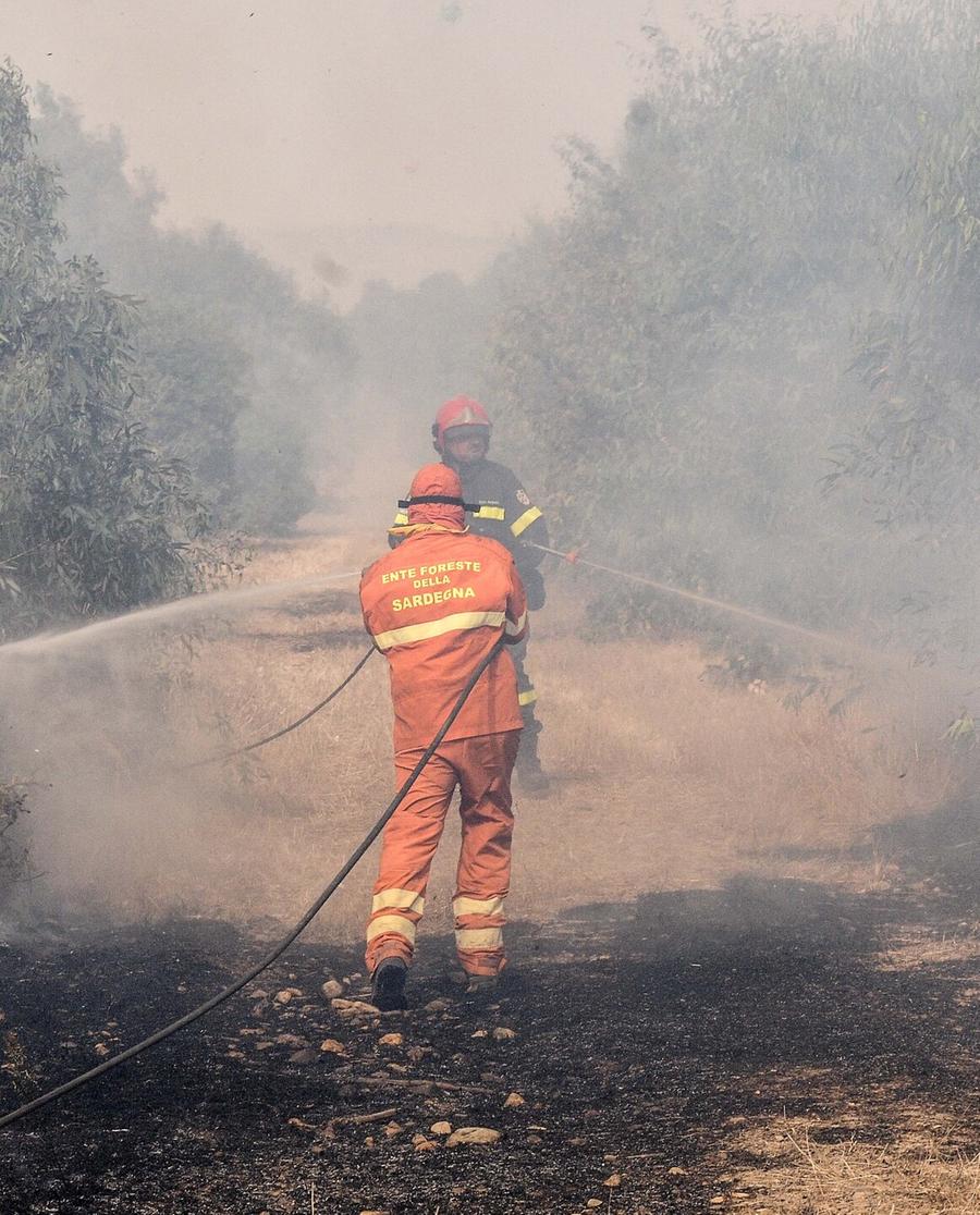 Ordinanza contro i roghi: stabiliti divieti e pesanti sanzioni