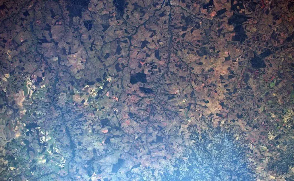 Le immagini hanno suscitato molte reazioni di profondo sdegno