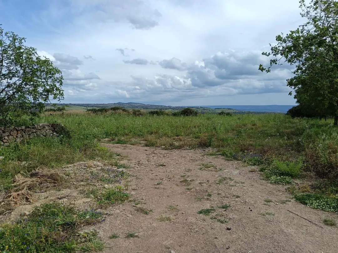 Samugheo, il terreno per l'eliporto