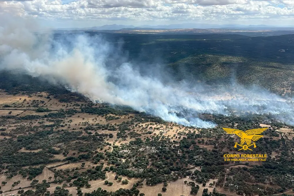 L'incendio a Buddusò (foto vigili del fuoco)