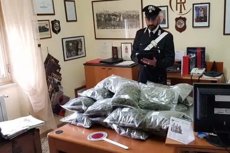 La droga (Foto Carabinieri)