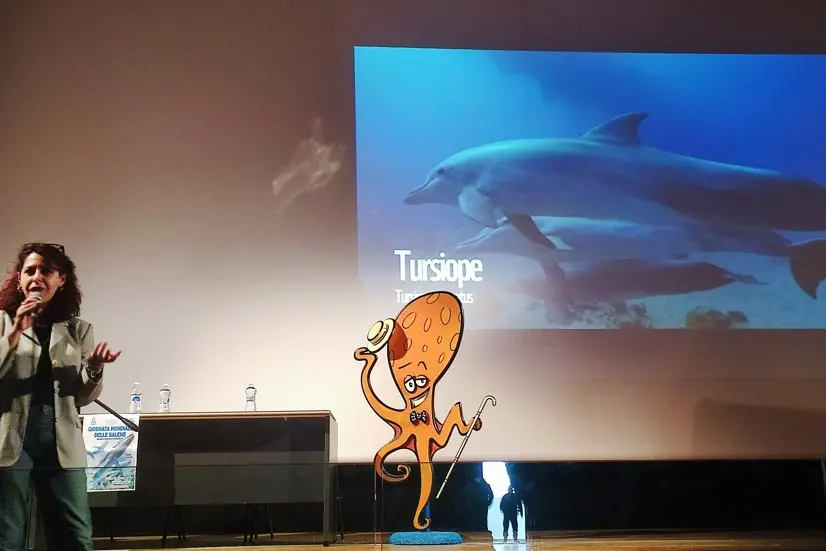 Santa Teresa Gallura, intervento di Laura Pintor (foto Ronchi)