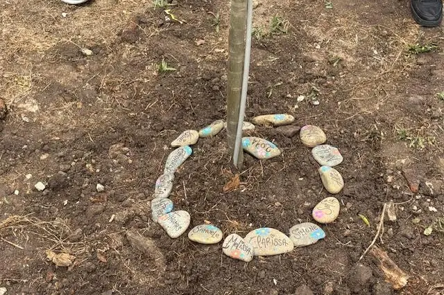L'albero (Foto concessa)