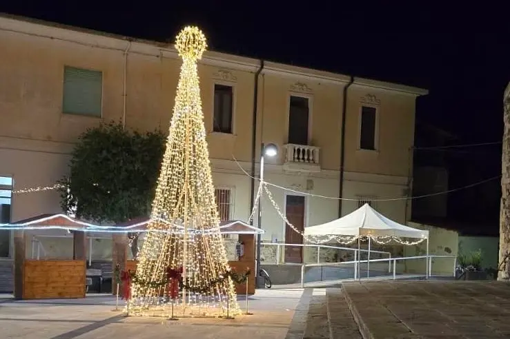 L'abero nella piazza della chiesa (Foto Sara Pinna)