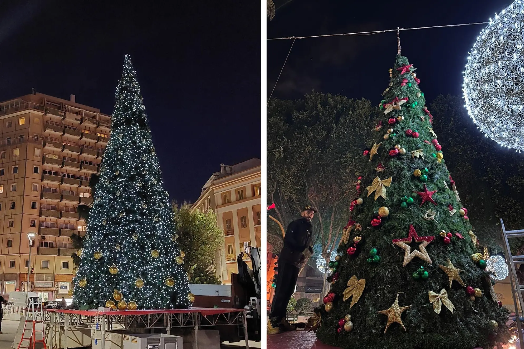 Alberi di Natale in piazza Garibaldi e piazza Italia (L'Unione Sarda)
