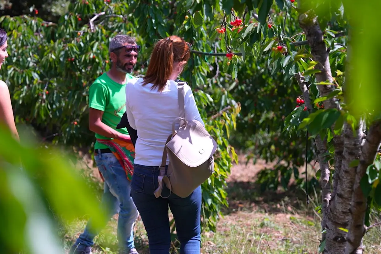Biodiversità ed eccellenze del territorio: Villacidro celebra "sa Barraccocca"