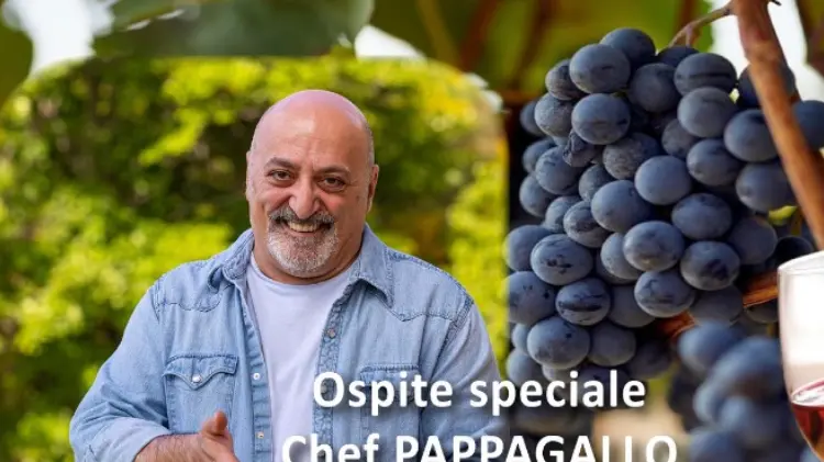 https://immagini.unionesarda.it/version/c:OTI2NjVmNDItMTkwZC00:OGY4ODZhNmQtOWM3NS00/image.webp?f=16:9