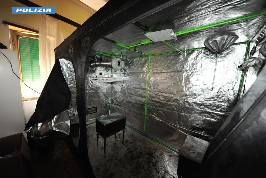 La serra artigianale (Foto: Polizia di Stato)
