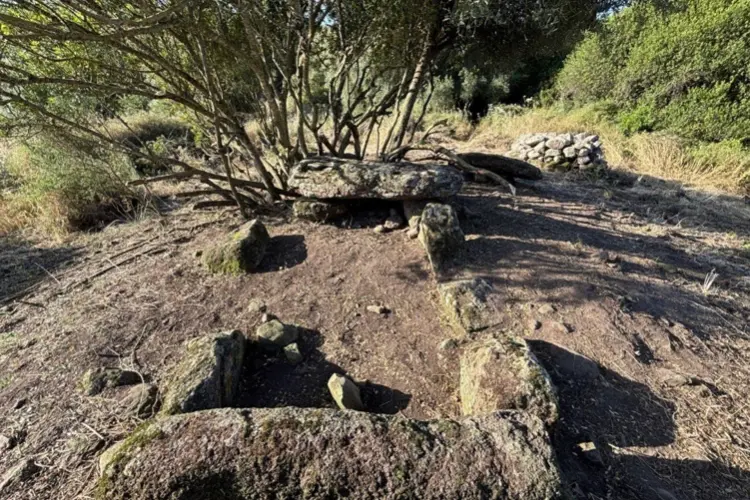L'area archeologica di Concas a Perfugas (foto concessa)