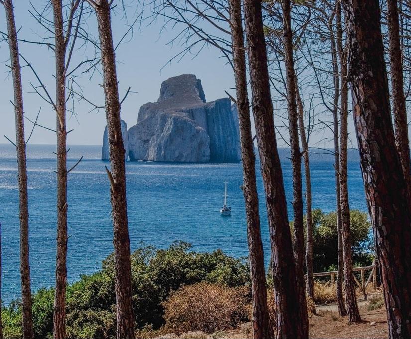 La pineta di Masua può rinascere