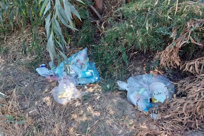 I rifiuti abbandonati nella strada comunale (foto concessa)
