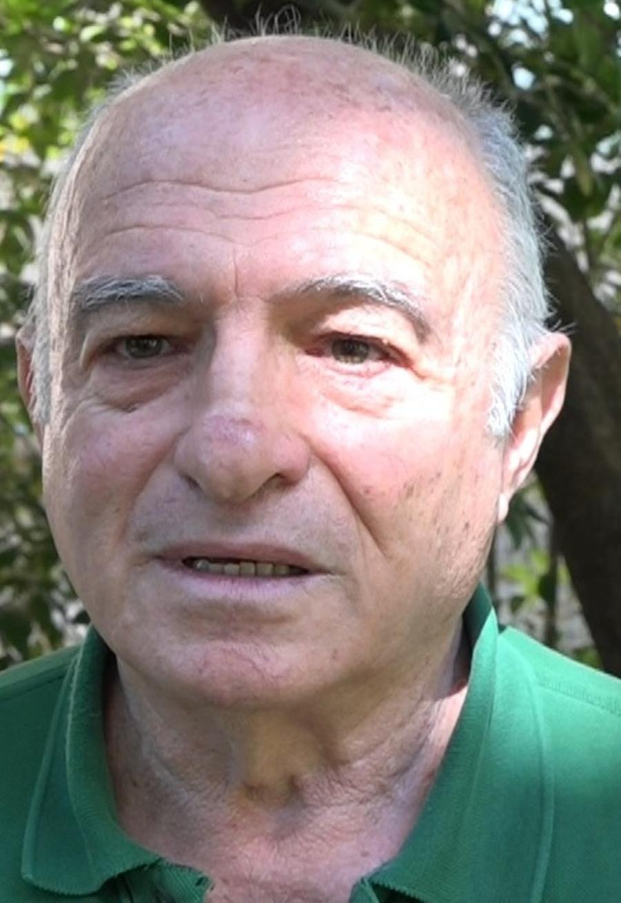 «Dimenticata la scuola forestale»