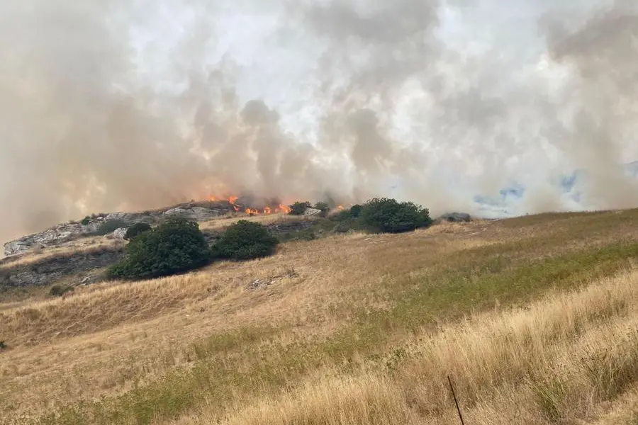 Gli incendi dei giorni scorsi (Ansa - Fois)