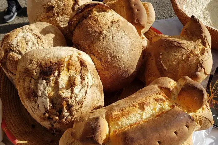 Pane sardo (foto Ansa)