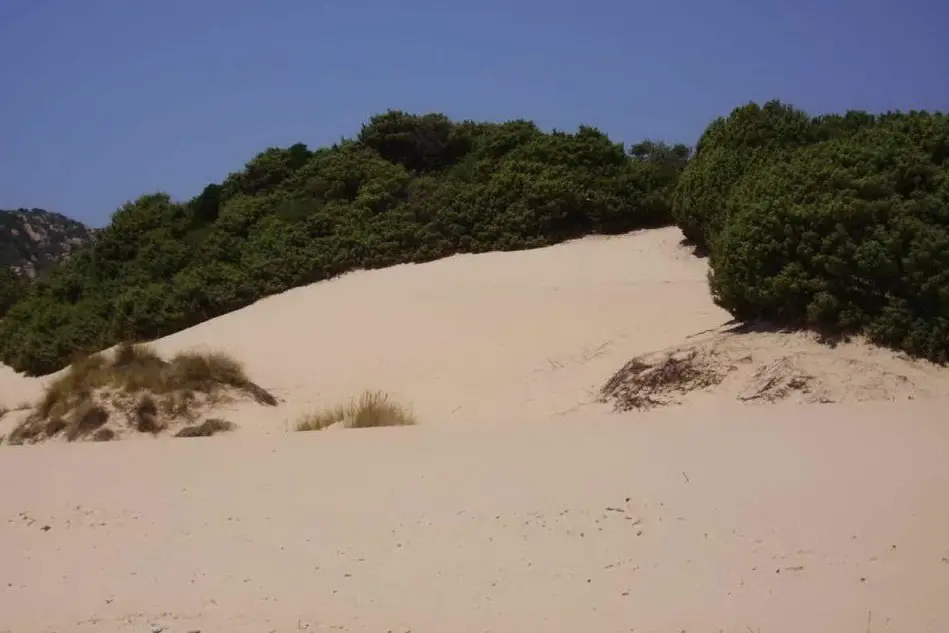 Le dune di Chia (Ansa)