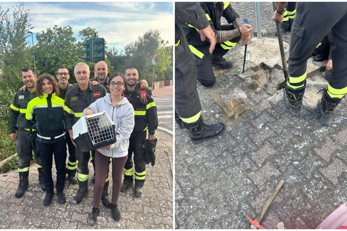 Il salvataggio dei vigili del fuoco