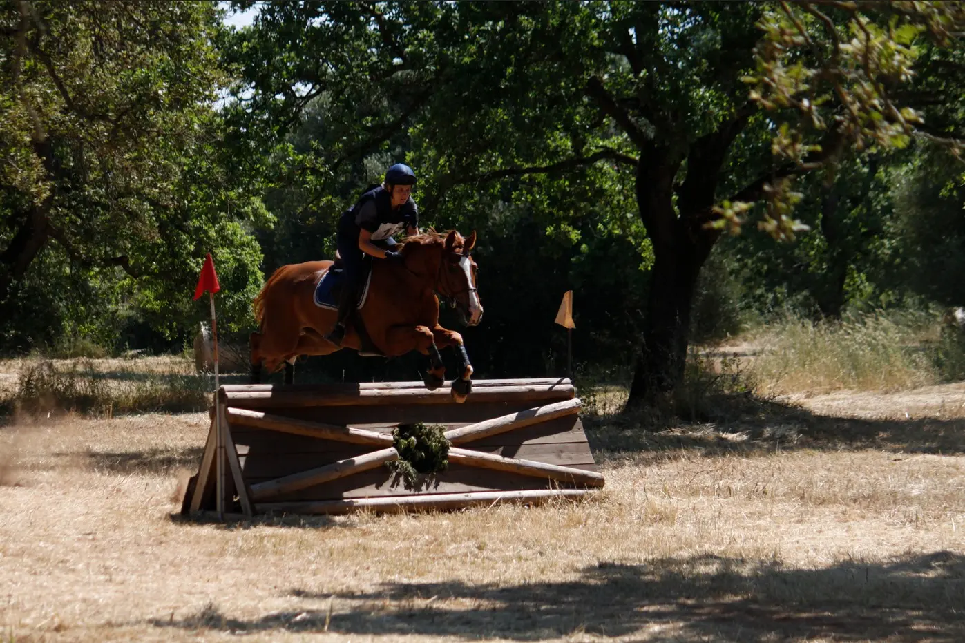Salto cross a Tanca Regia