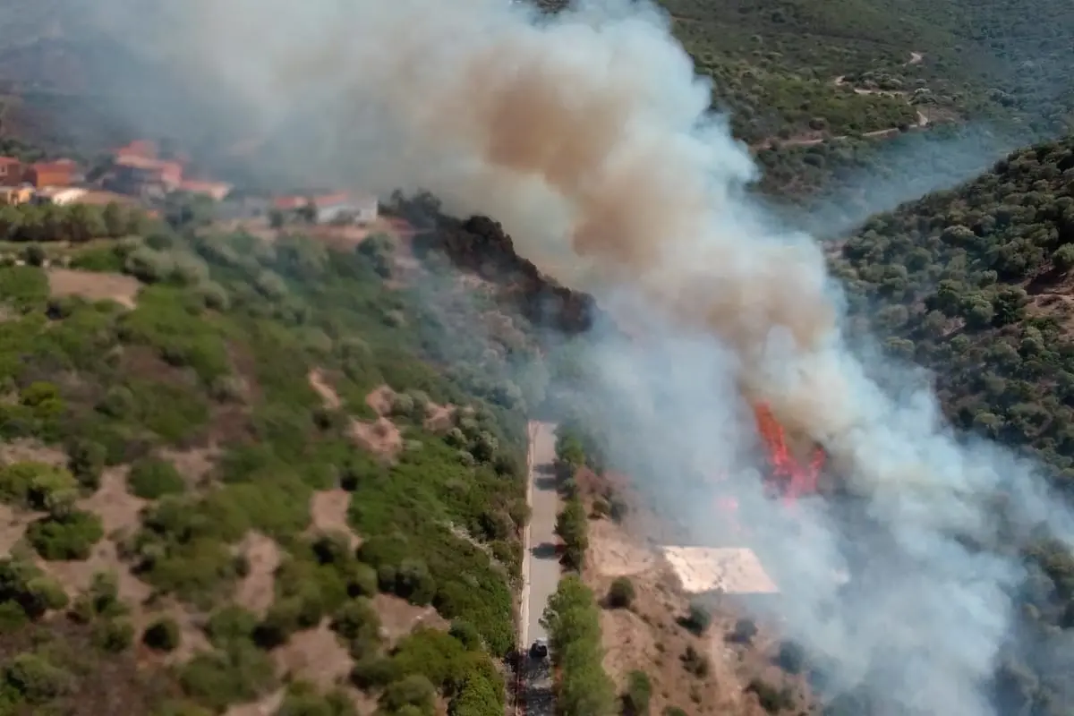Il fuoco a Santa Maria Coghinas (foto Corpo forestale)