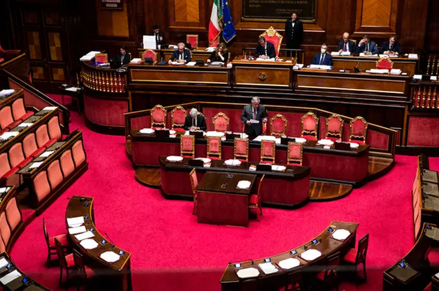 L'aula del Senato (Ansa)