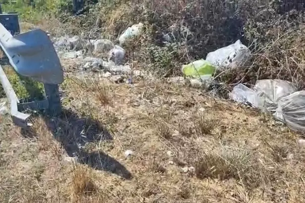 Cumuli di rifiuti sulla provinciale 34 a Porto Torres (foto Pala)
