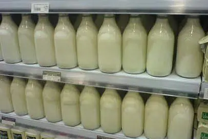 Latte sardo