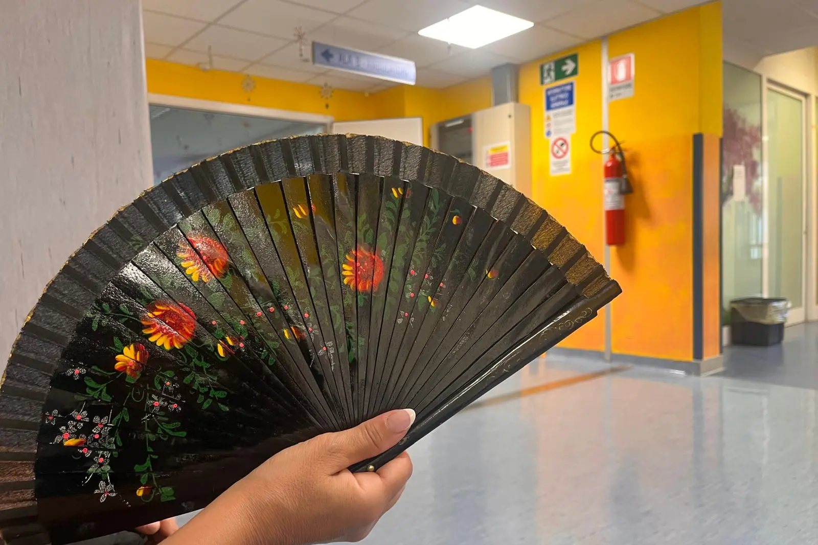 Un ventaglio usato all'ospedale Oncologico di Cagliari