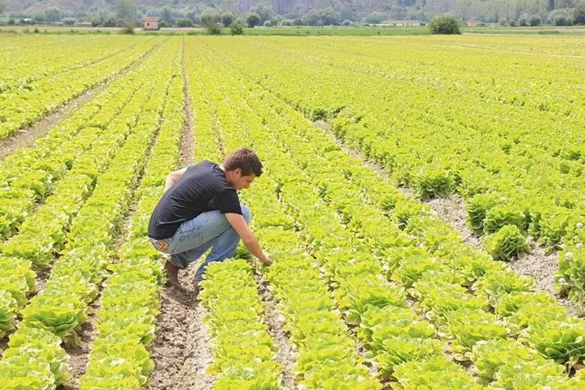 Un giovane agricoltore al lavoro (foto simbolo, archivio L'Unione Sarda)