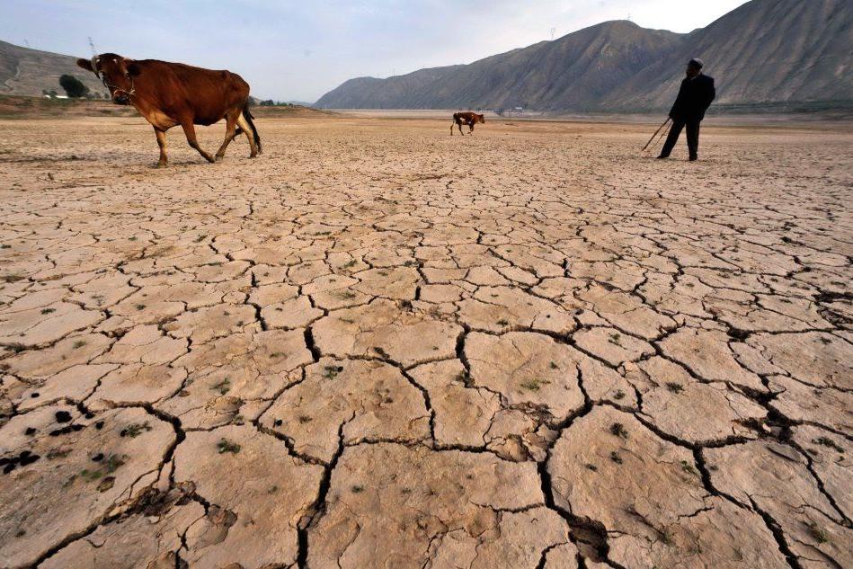 Emergenza siccità: Coldiretti e sindaci del Guilcier e del Barigadu chiedono incontro in Regione